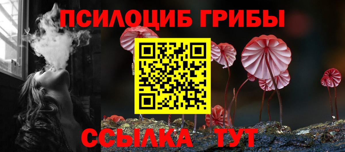Находка  Галлюциногенные грибы GOLDEN TEACHER  Вход с VPN 